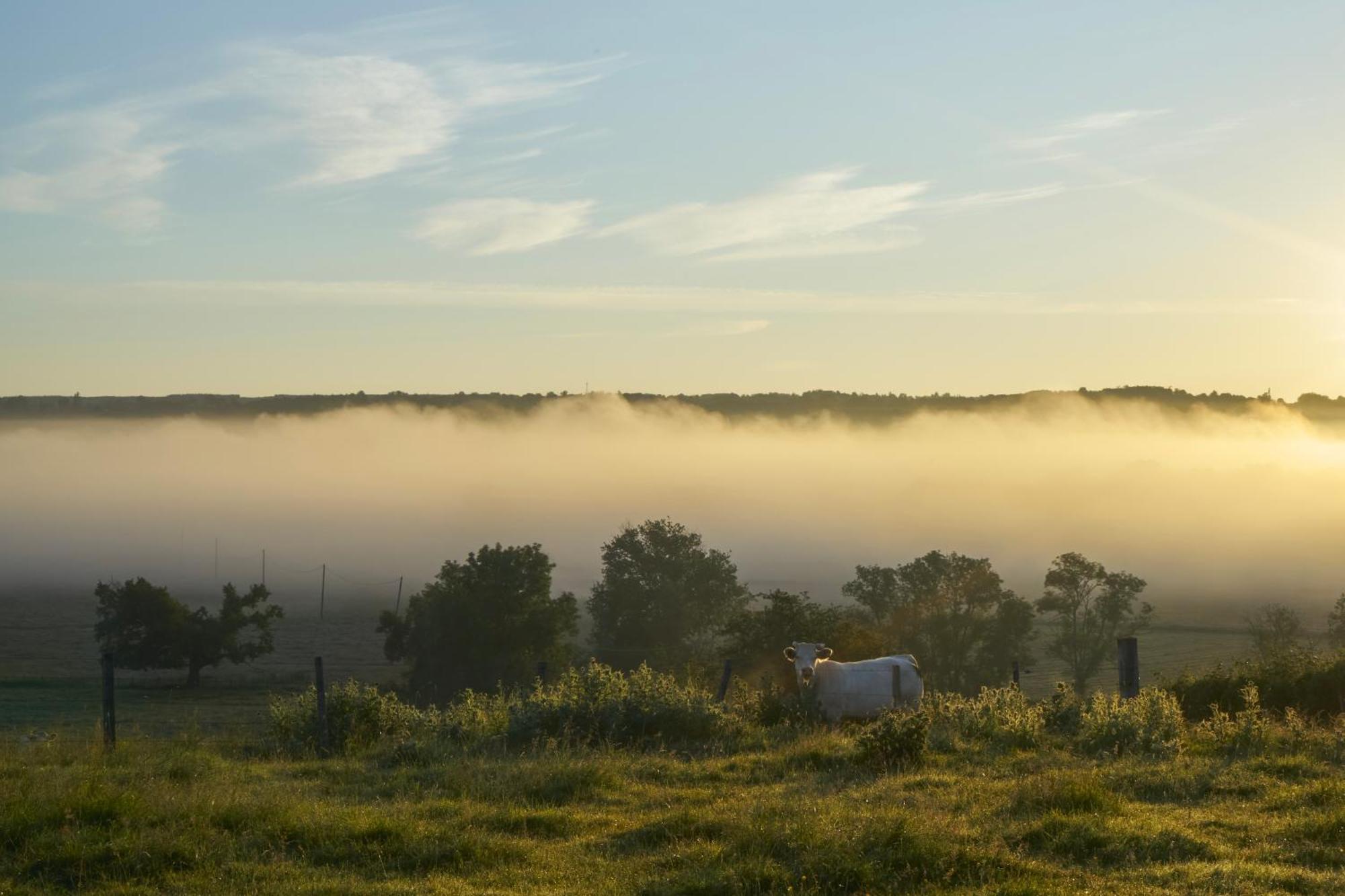 La Colline Du Colombier 호텔 Iguerande 외부 사진